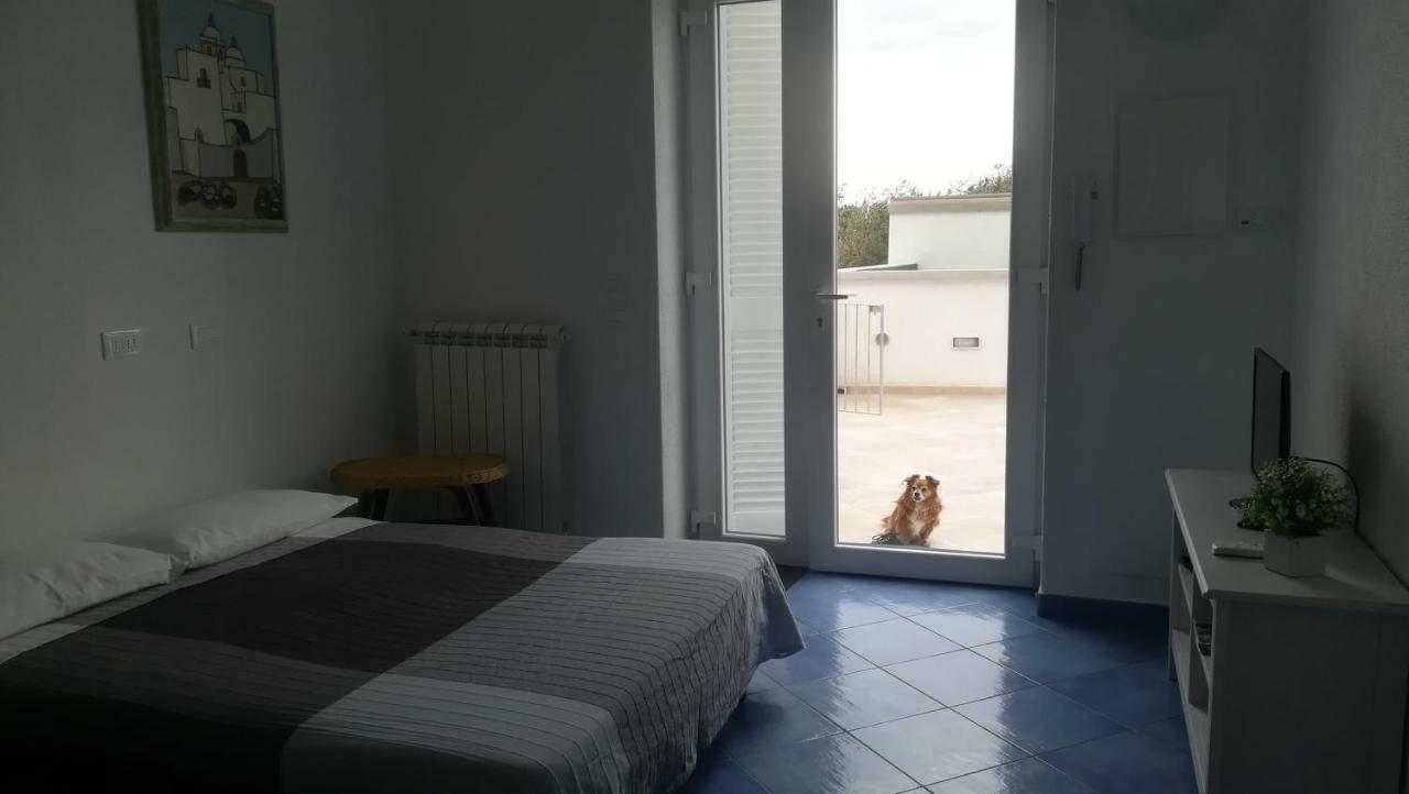 Citara Mare Villa Forio  Exterior photo